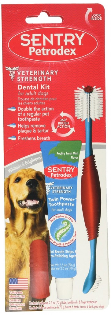 dog-toothbrush-toothpaste