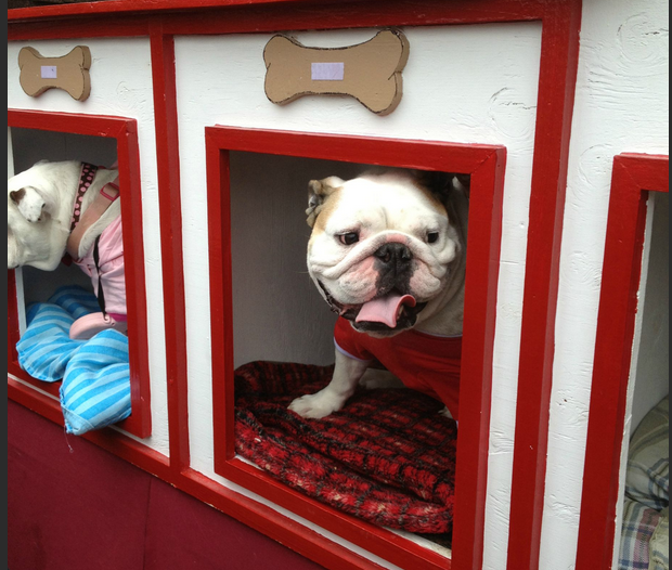 bulldog kissing booth