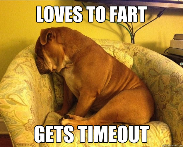 bulldog-loves-to-fart-funny-meme