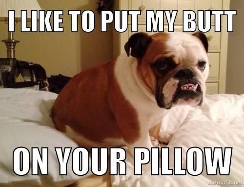 butt-on-pillow