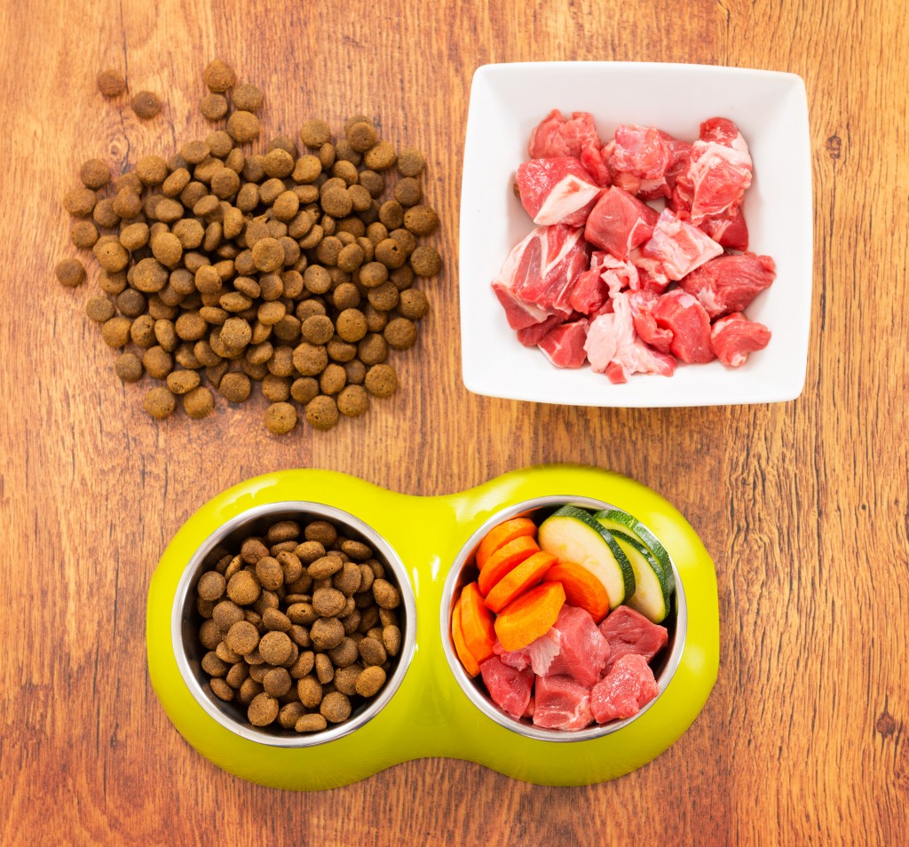 Natural and dry dog's food